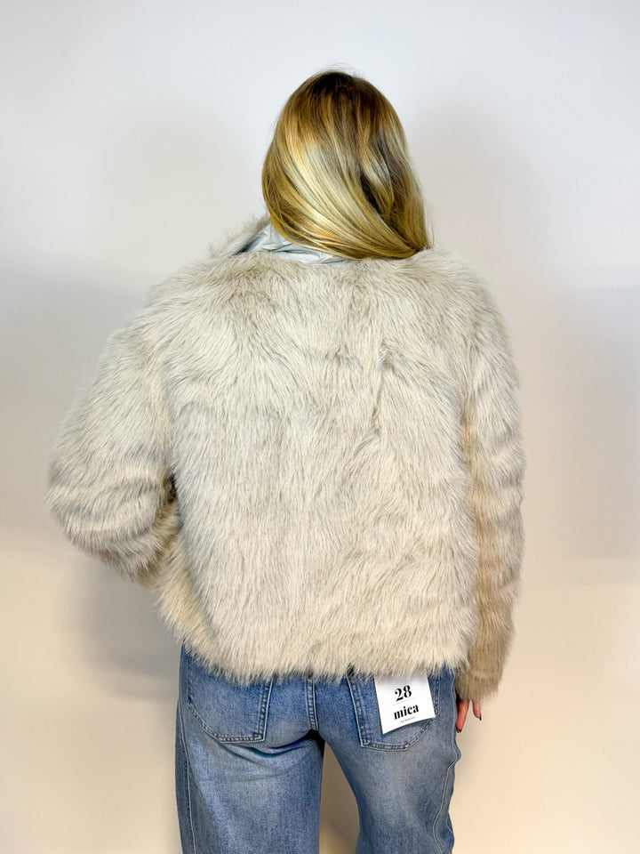 The Motley Jacket