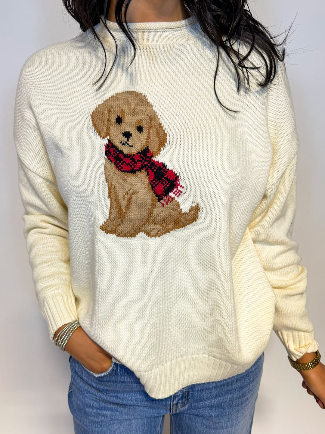 The Puppy Dog Sweater