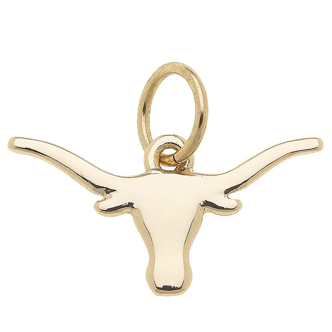 CS College Gameday Charms
