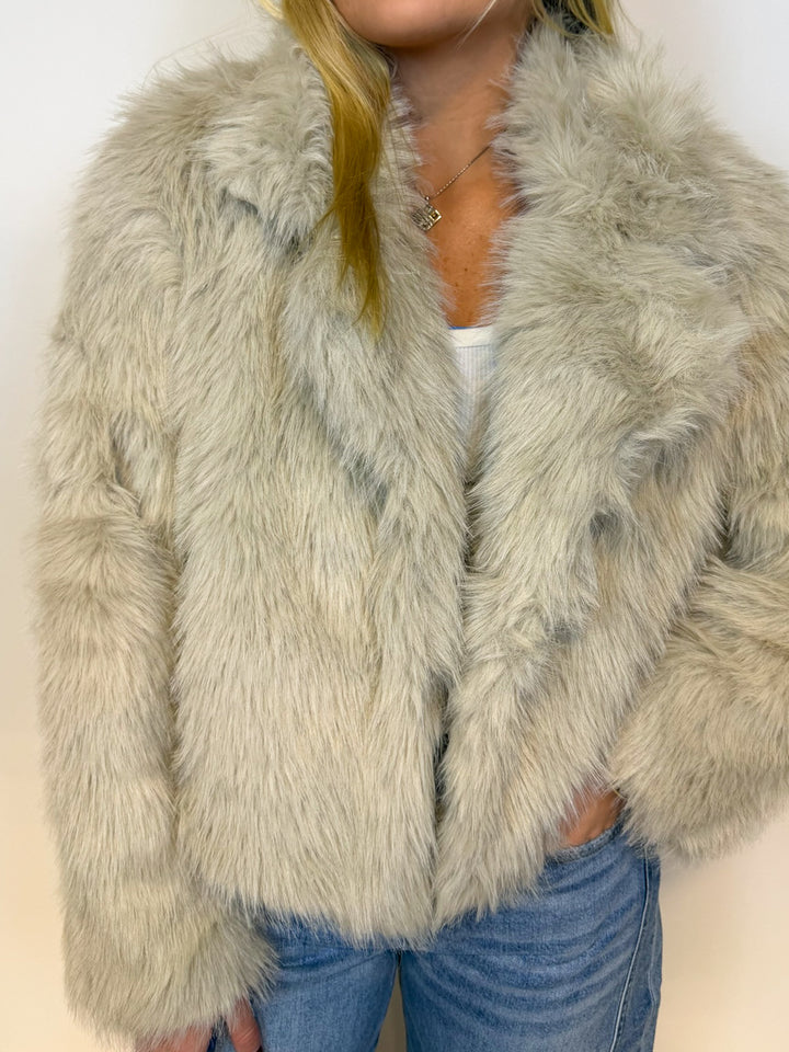 The Motley Jacket