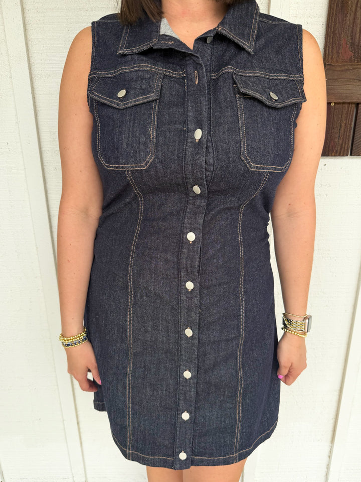 Dear John Saira Dress