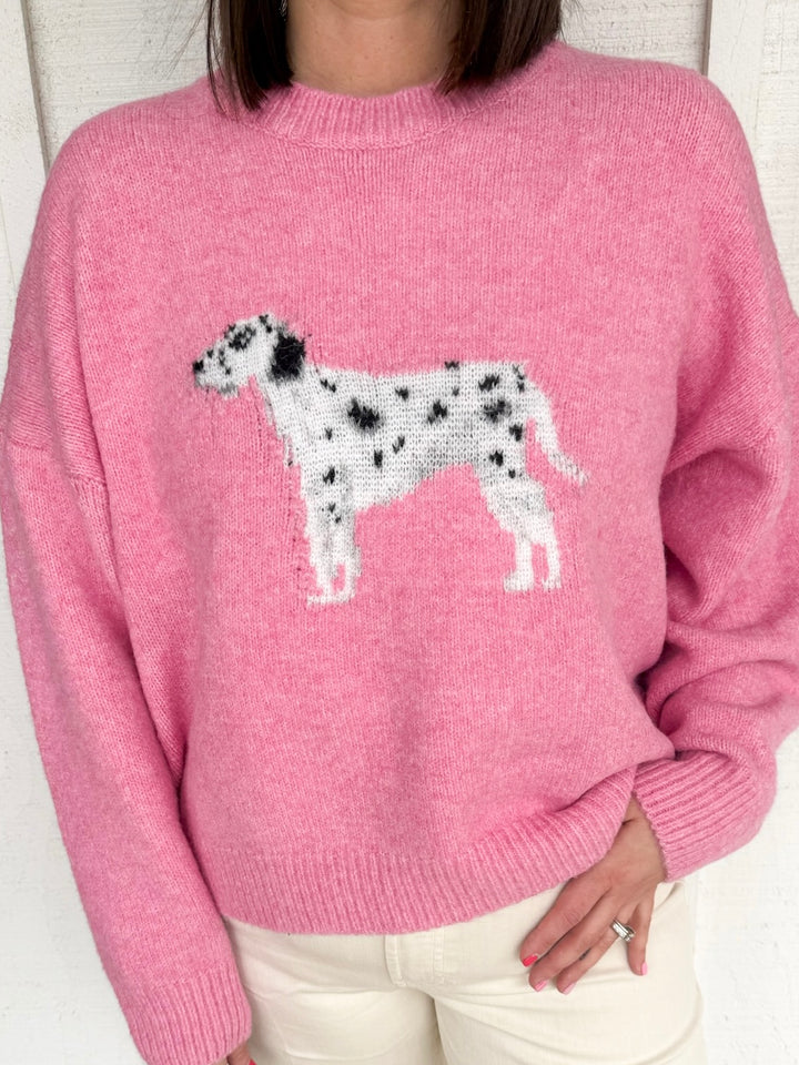 The Dalmatian Sweater