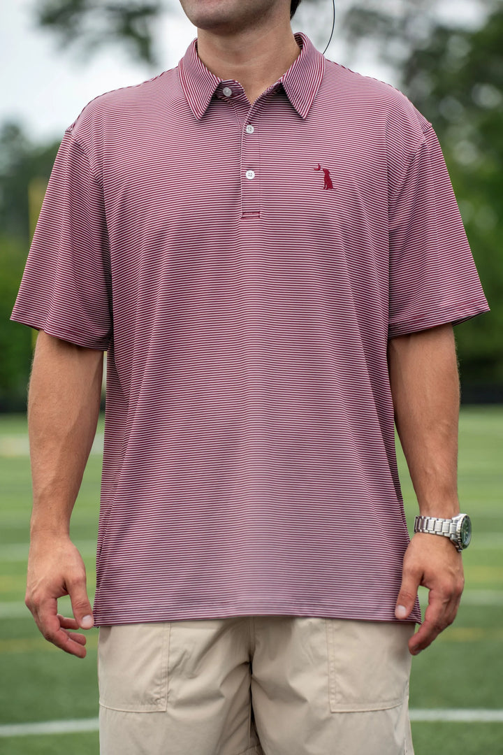 Local Boy Palms Polo