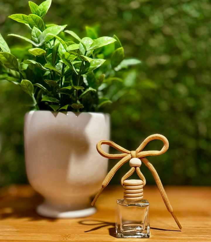 Ember Water Car Diffusers