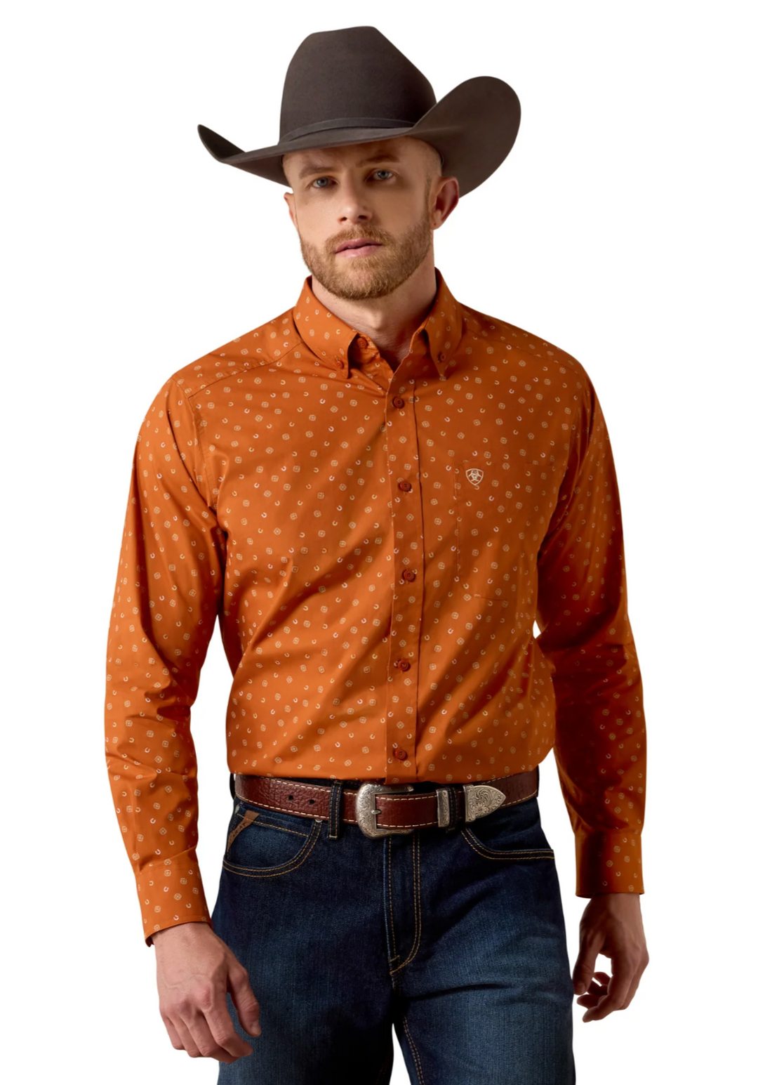 Ariat Men's Ludwig LS Shirt