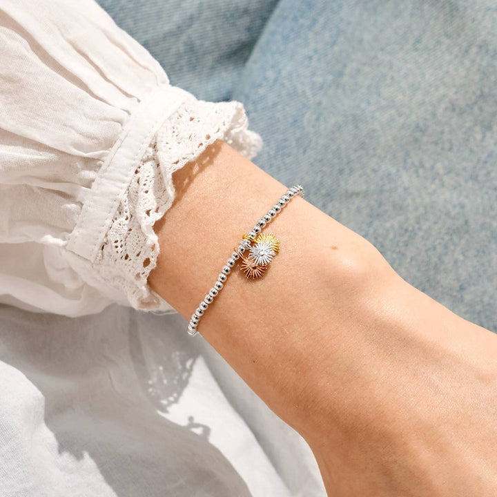 ALC Little Charmed Moments