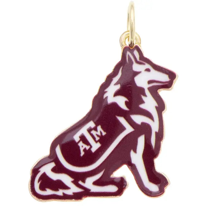 CS College Gameday Charms
